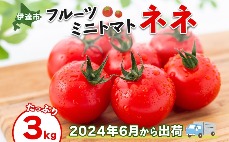 
[№5525-0524] 北海道産 ミニトマト ネネ 約3kg フルーツトマト 幻の 高糖度 ジューシー プチ トマト 甘い 濃厚 彩り 鮮やか 希少 お中元 お歳暮 暑中見舞い 帰省土産 ご自宅用 産地直送 大滝農園 送料無料 北海道 伊達
