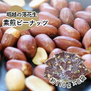 【ふるさと納税】堀越の落花生 素煎ピーナッツ 8袋 約880g | 埼玉県 東松山市 落花生 ピーナッツ ナッツ おつまみ 栄養 たんぱく質 自家焙煎 健康 ナッツ 滋養 美容 たんぱく質 コレステロール 栄養 香ばしい おつまみ お菓子