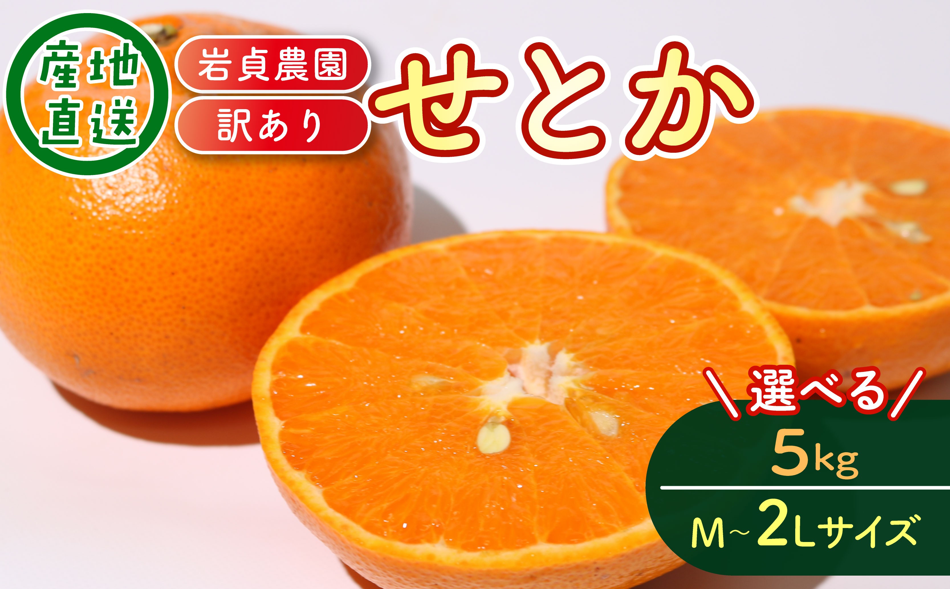 
                  【数量限定】訳あり 室戸産 せとか 5kg M～2Lサイズ｜蜜柑 みかん 甘い 家庭用 柑橘 フルーツ 果物 期間限定 数量限定 高知県 室戸市
                