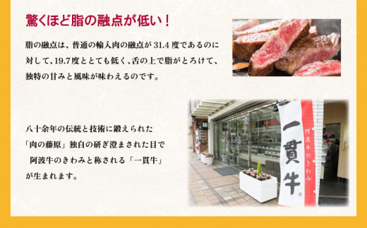 ロース しゃぶしゃぶ用 500g 国産 黒毛和牛 とくしま三ツ星ビーフ 徳島県産 ブランド 和牛 牛肉 ふるさと納税 阿波牛 牛肉 ぎゅうにく 牛 肉 しゃぶしゃぶ すき焼き 鍋  ビーフ  お祝い 