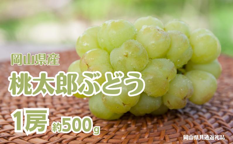 
                  桃太郎ぶどう 1房 約500g 【先行予約 2026年8月下旬から順次発送】
                