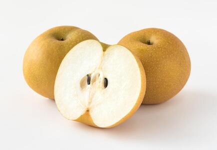 2026年 あたご 梨 約900g 1玉 【発送 11月下旬～12月中旬】｜ 梨 