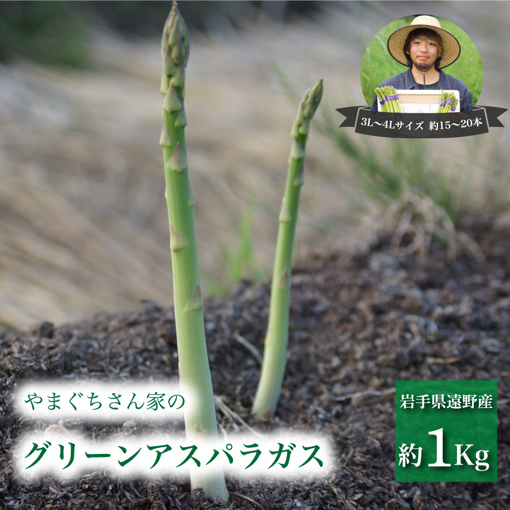 【ふるさと納税】アスパラガス 1kg 山口農園 岩手県 遠野市 産 グリーン アスパラ 岩手県 遠野市 産 新鮮 3L / 4L 15〜20本 サイズ 太い 甘い 濃い みずみずしい シャキシャキ 食感 料理 生 春 初夏 露地栽培 自然 農業 農家 応援 旬 産地 直送 採れたて 新鮮 冷蔵 配送