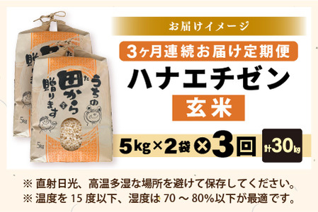 【先行予約】【令和8年産・新米】定期便 ≪3ヶ月連続お届け≫ ハナエチゼン10kg×3回 計30kg ～本原農園からまごころコメて～（玄米）【2026年9月上旬以降順次発送予定】 [F-8911_02