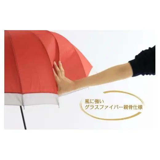 N162　紀州漆器アンブレラ『根来』１６本骨和傘　カバー付　ギフト箱入