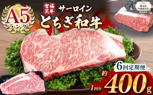 【栃木県共通返礼品】【定期便6回】宮福笑牛(とちぎ和牛) A5 サーロインステーキ　約200gx2枚  | 黒毛 和牛 牛肉 焼肉 とろける 霜降り 赤身 切り落とし ふるさと 納税 イチオシ おすすめ 栃木県 栃木県産 下野市