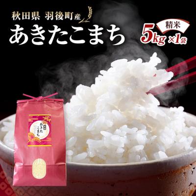 ふるさと納税 羽後町 秋田県羽後町産あきたこまち 精米 5kg×1袋[No.5325-0581]