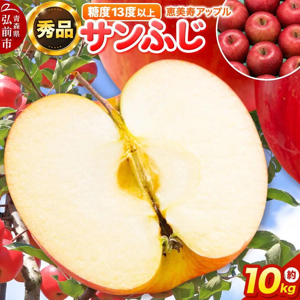 りんご サンふじ 約10kg 【秀品】りんご