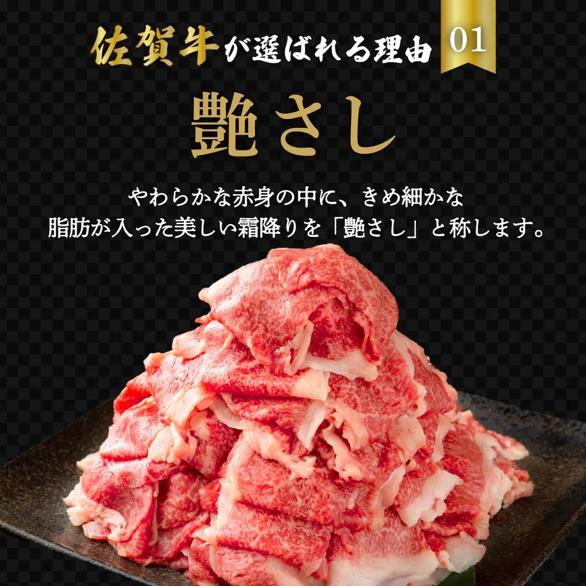 ＜定期便3回＞佐賀牛たっぷり切り落とし 1kg (500g×2パック)