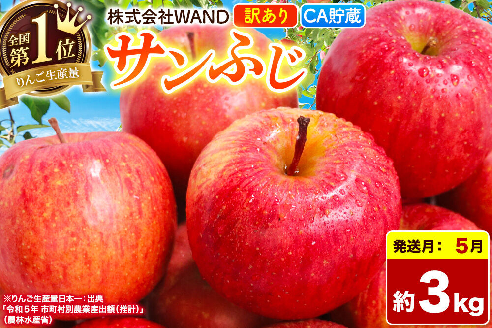 【26年5月クール便発送】 りんご サンふじ 3kg 箱 家庭用 訳あり 【CA貯蔵】 青森県産 [りんご サンふじ 家庭用 林檎 アップル 赤 果実 果物 フルーツ 美味 おいしい 青森県 弘前市 