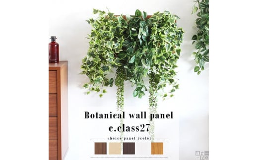 
Botanical c.class 27
