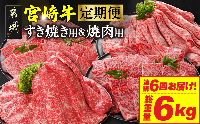 ≪6回連続お届け≫宮崎牛赤身霜降り食べ比べ定期便M(総重量6kg)_T102-6-N201