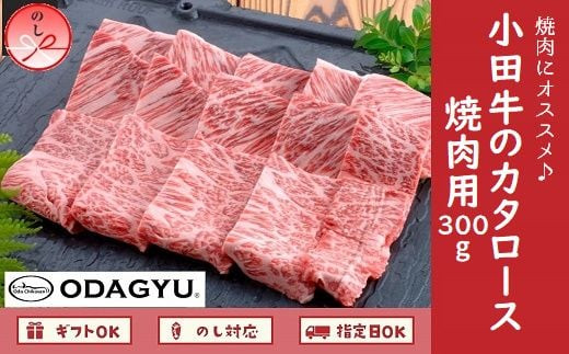 
060-13 知覧農場より小田牛のカタロース焼肉用300g
