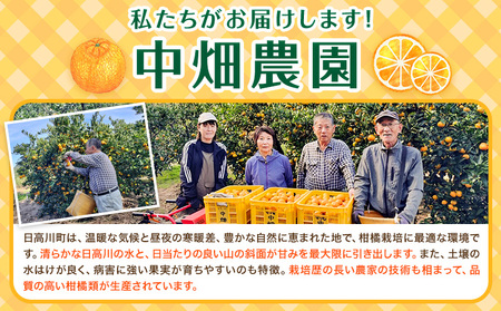 和歌山県産 ポンカン 7.5kg 中畑農園 ぽんかん 柑橘