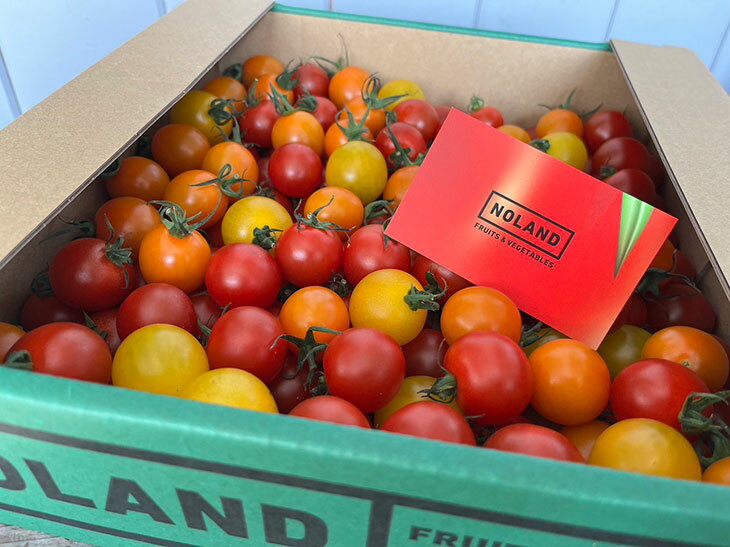 【ふるさと納税】13-6 NOLAND 栄町産ミニトマト3種2kg ※沖縄・離島への配送不可 ※2026年5月上旬～6月下旬頃に順次発送予定