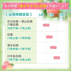 桃 もも 桃 旬 おまかせ 5～6玉入り 秀品【S058-mtgn043】