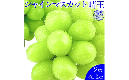 シャインマスカット 晴王 2房 約1.3kg 種無し  皮ごと食べる  フレッシュ  旬の美味しさ【2025年9月上旬-10月下旬 発送予定】【岡山県産 種無し 皮ごと食べる みずみずしい 甘い フレッシュ 9月～10月発送 晴れの国 おかやま ぶどう 葡萄 マスカット 果物大国 彩美菜果 岡山県 倉敷市 おすすめ 人気】