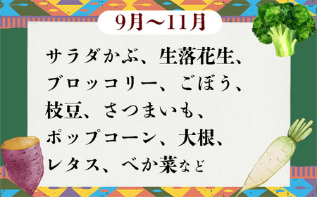 野菜 9袋 訳あり 2ヶ月 定期便 詰め合わせ お任せ 旬 野菜