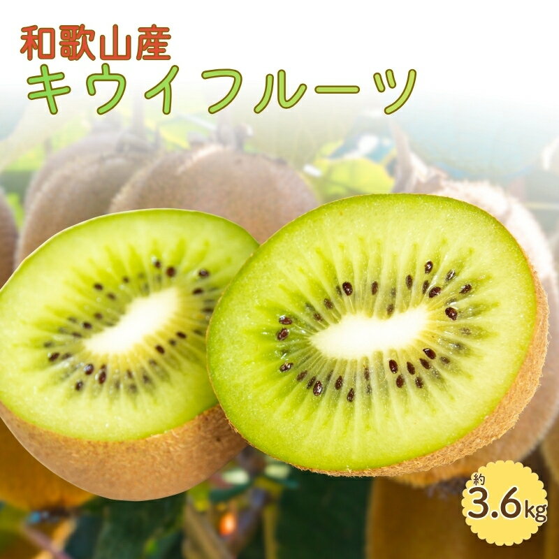 【ふるさと納税】 和歌山かつらぎ町産キウイフルーツ約3.6kg（玉数おまかせ）秀品【2027年1月中旬～2027年3月上旬頃順次発送】