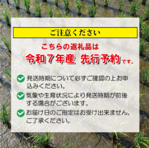 新米令和７年産 食べ比べ 新米新米新米新米新米 anezaki012