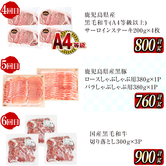 【定期便全6回】黒毛和牛・黒豚を交互にお届け！＜志布志牛・豚 満足定期コース＞計6.3kg超！ t0104-001　定期便 牛肉 豚肉 サーロイン スライス 切り落とし 黒豚 ロース 豚ロース 豚バラ