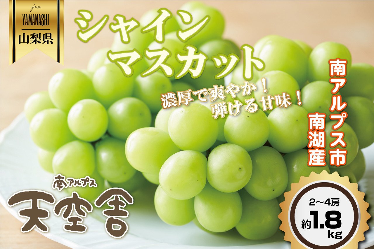 
                  ＜2026年発送先行予約＞南アルプス天空舎のシャインマスカット 約1.8kg ALPAB043
                