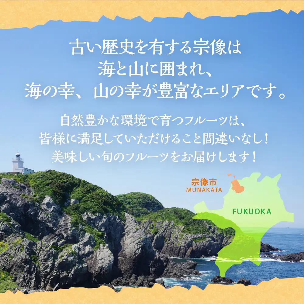 【定期便/年4回】フルーツ ＪＡむなかた厳選！人気のフルーツ定期便 _HB0140