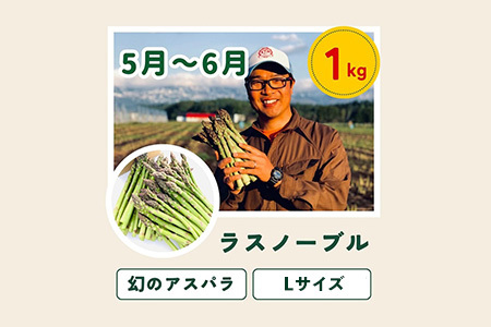 旬の野菜セット 5回 定期便  野菜 百合 美瑛の四季【令和8年産予約受付】 