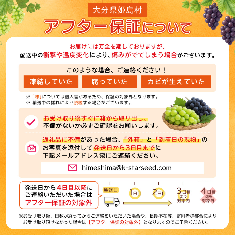 大分県産 BKシードレス 約1kg (2～3房) 2B6