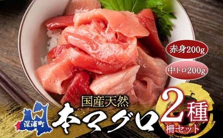 天然 本マグロ 赤身 中トロ 2種セット 国産 本鮪 まぐろ マグロ クロマグロ 鮪 刺身 丼ぶり 寿司 海鮮 魚介 贅沢 お取り寄せ 詰め合わせ グルメ 産地直送 送料無料 冷凍 あおもり海山 青森県 深浦町 