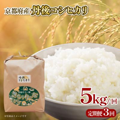ふるさと納税 京都府 【毎月定期便】丹後コシヒカリ 5kg 特A米 ブランド米を3ヶ月×5キロお届け