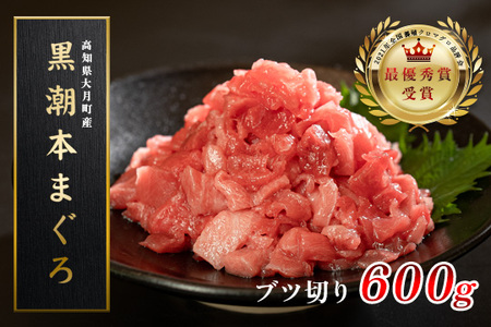 【12/23までの寄附で年内発送】 マグロ まぐろ 本マグロ 刺身 ぶつ切り 600g 養殖 本まぐろ さしみ 刺し身 ネギトロ ねぎとろ 漬け丼 海鮮丼 まぐろたたき 海鮮セット 柵 年末 年始 正月 高知県 大月町