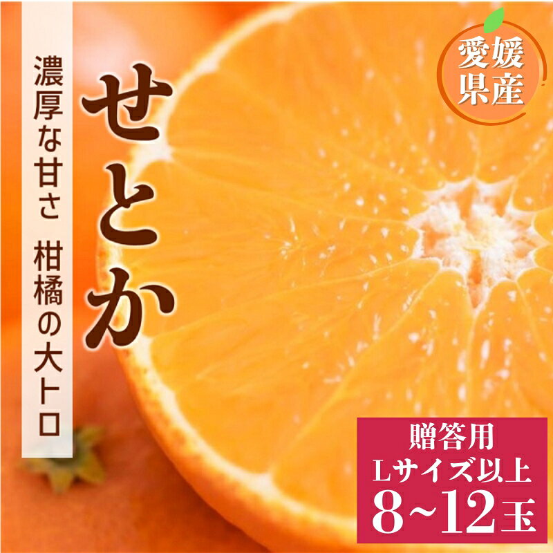 【ふるさと納税】【2027年先行予約】せとか 8〜12玉 Lサイズ以上 贈答用 【2027年2月上旬より順次出荷予定】 愛媛 数量限定 愛媛県産 人気 柑橘 伊予市｜C190