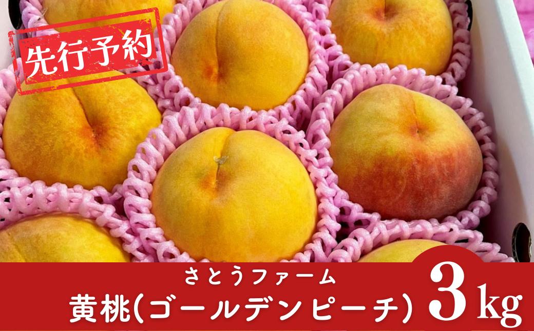 
            先行予約 黄桃 (ゴールデンピーチ) 3kg 令和8年度 新潟県産 黄桃 [さとうファーム]【014S010】
          