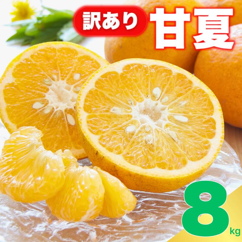 【ふるさと納税】 訳あり 甘夏 8kg サイズ ミックス ご家庭用 送料無料 産地直送 農家直送 減農薬 栽培 フルーツ 果物 柑橘 あまなつ 爽やか 香り ほろ苦い 大人 の 味 マーマレード ジャム ピール ゼリー ジュース サラダ 人気 おすすめ 期間限定 愛媛県 愛南町 愛なんよ