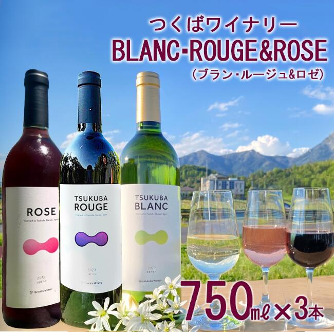 【ふるさと納税】つくばワイナリー TSUKUBA BLANC ・ ROUGE & ROSE セット | お酒 葡萄 ぶどう ブドウ 茨城県 つくば市 ワイナリー ワイン 赤ワイン 白ワイン ロゼワイン