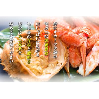 ふるさと納税 網走市 北海道 網走産 毛ガニ 400g前後 |  | 03