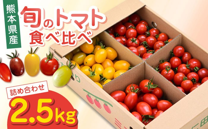 
            【期間限定】熊本県産 減農薬栽培 トマト ミディトマト 2.5kg 詰め合わせ ミニトマト 食べ比べ ミニトマト【矢仁田農園】[YDE003] 
          