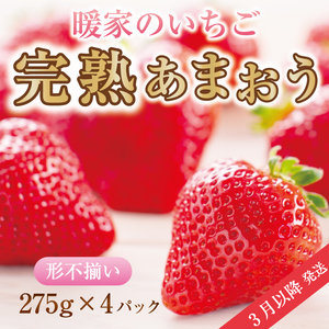 【ふるさと納税】暖家のいちご 完熟あまおう 4パック(形不揃い) 3月以降発送 [a9408] 社会福祉法人猪位金福祉会 暖家の丘 ※配送不可：北海道・沖縄・離島【返礼品】添田町 ふるさと納税