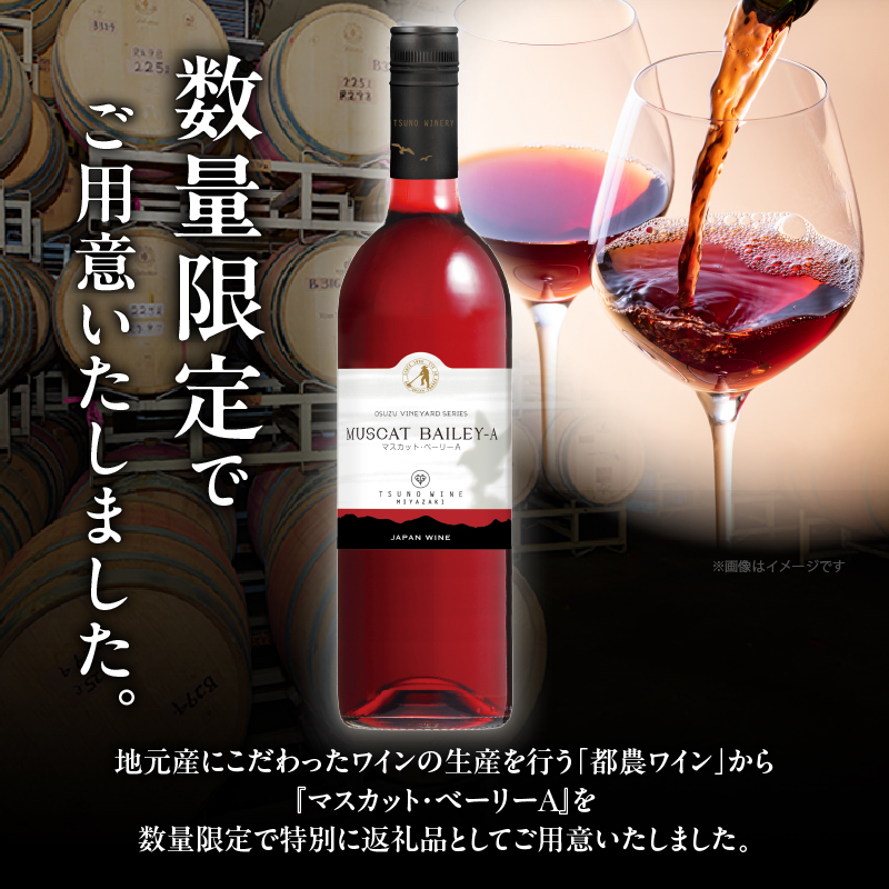 【数量限定】マスカット・ベーリーA (計1本) _T014-024【酒 飲料 アルコール 国産 人気 ギフト 飲料 食品 お酒 お土産 限定品 贈り物 送料無料 プレゼント】