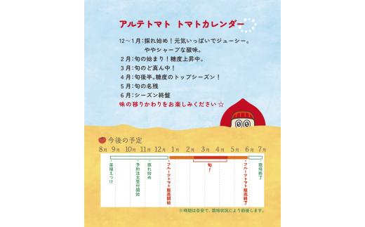 【1月～5月頃まで発送】＜アルテminiの宝石箱 約1kg×1箱＞フルーツトマト 栽培期間中化学農薬・化学肥料不使用 トマトハウスナカムラ