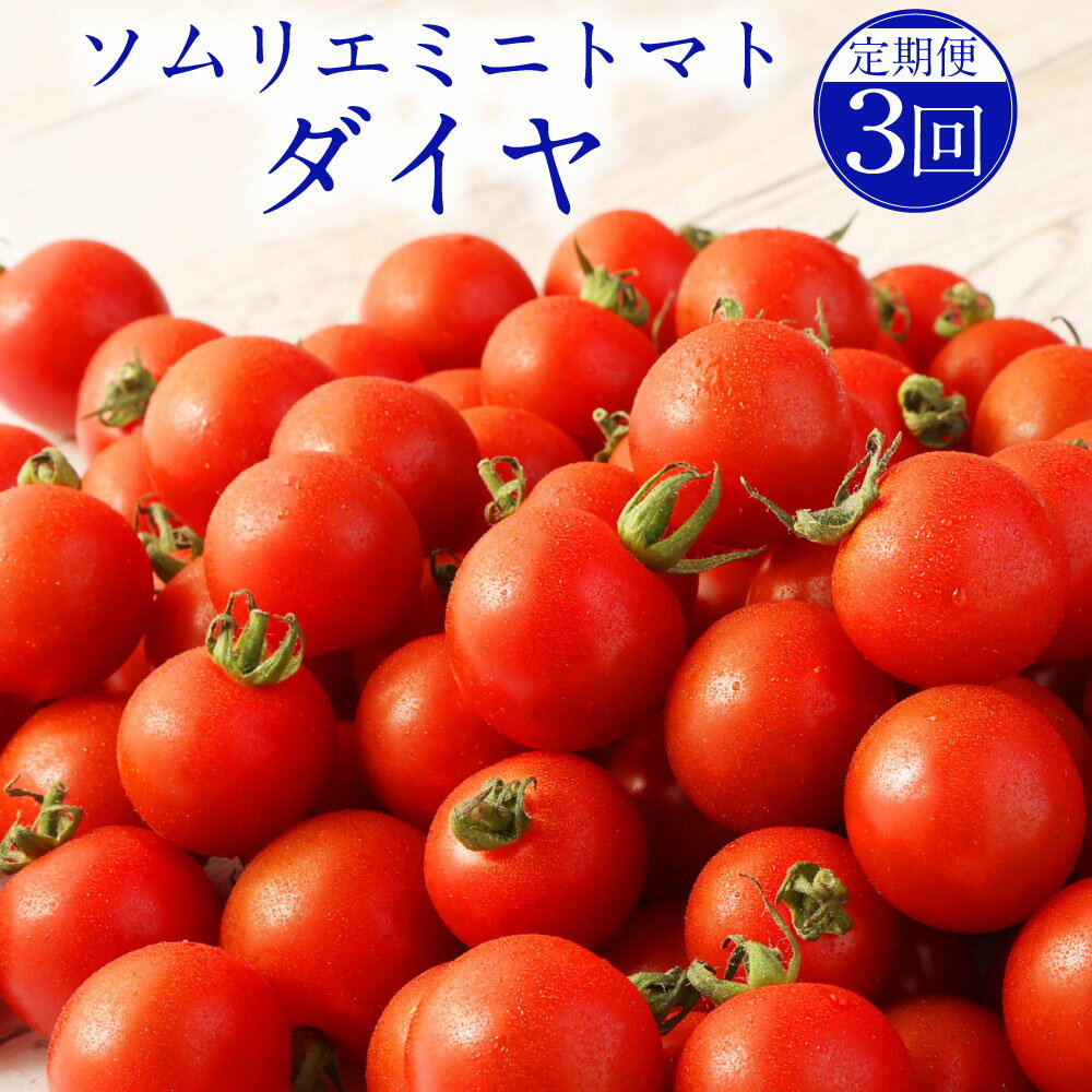 【ふるさと納税】【年3回定期便/2026年1月上旬発送開始】熊本県 ソムリエミニトマト ダイヤ 3kg×3回 合計9kg ソムリエ トマト とまと ミニトマト 野菜 旬 新鮮 塩 塩トマト 定期便 熊本県 冷蔵 送料無料