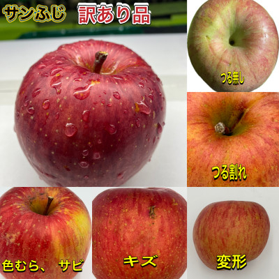 
訳ありりんご＜サンふじ＞10kg(24玉～46玉)　＜令和6年11月下旬～随時発送開始＞【1486198】
