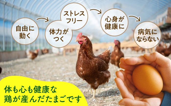 たまご 卵 鶏卵 玉子 生卵 平飼い 北海道 定期便
