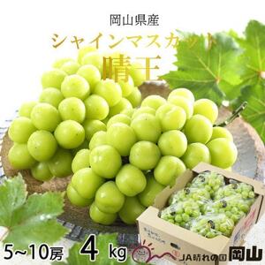 【2025年7月発送】岡山県産　シャインマスカット　晴王　4kg(5房～10房)【配送不可地域：離島・北海道・沖縄県】【1365939】