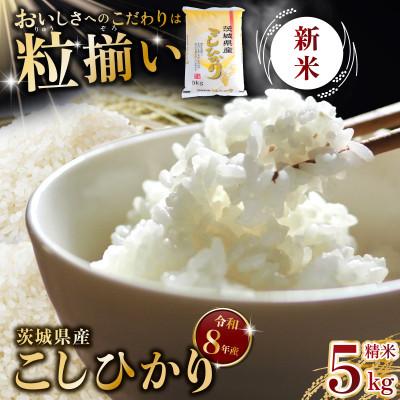 ふるさと納税 下妻市 【令和8年産】精米 コシヒカリ 5kg 茨城県下妻市産