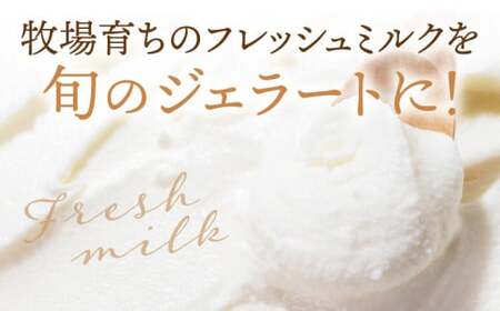 MUCCAジェラート　12個セット_mk024-001