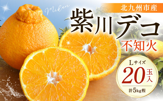 紫川デコ（不知火） Lサイズ 20玉入 計5kg程 フルーツキャップ付き【2026年3月上旬～2026年3月下旬発送予定】