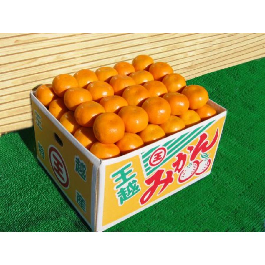 温州みかん5kg( S～Lサイズ)