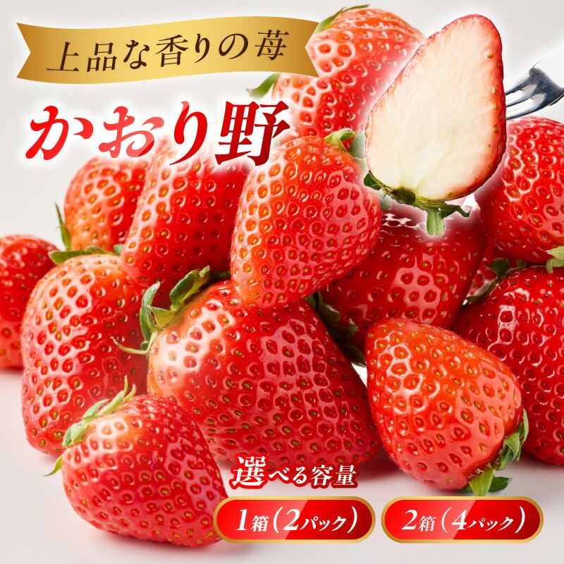 【ふるさと納税】【数量選べる】〈予約受付〉渡邉農園 佐賀県玄海町産かおり野 1箱2パック or 2箱4パック（2027年1月〜3月にお届け）／ かのり野 苺 いちご イチゴ 希少 果物 くだもの フルーツ デザート 旬 1月配送 順次配送 予約受付